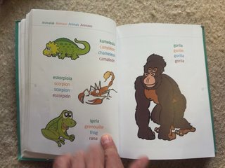 HIZTEGI IRUDIDUNA Diccionario infantil ilustrado