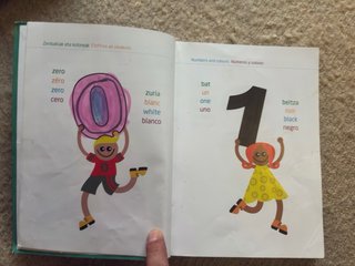 HIZTEGI IRUDIDUNA Diccionario infantil ilustrado