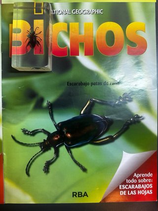 Lote 5 Bichos National Geographic + Fasciculos