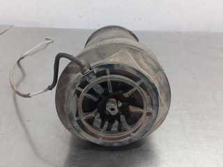 Balona neumatica trasera derecha CITROEN C4