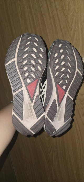 Zapatillas Nike Trail Running Mujer