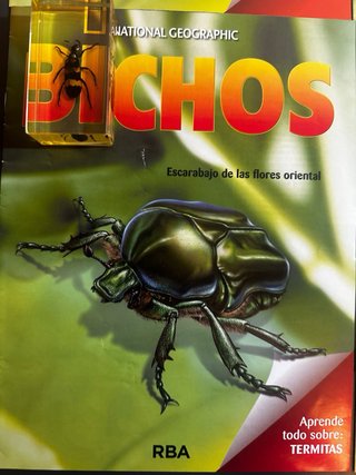 Lote 6 Bichos National Geographic + Fasciculos