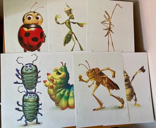 12 Láminas Bichos + 6 Juegos de Mesa