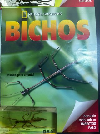 Lote Grande National Geographic + Fasciculo