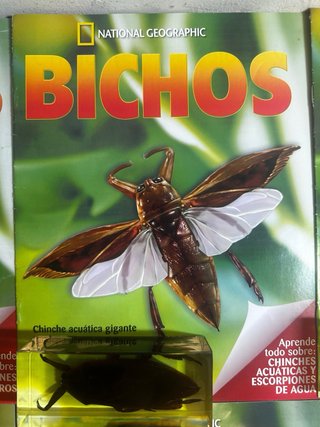Lote Grande National Geographic + Fasciculo