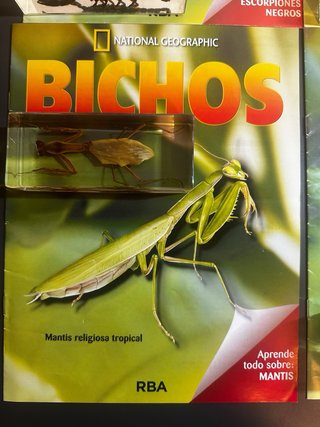 Lote Grande National Geographic + Fasciculo