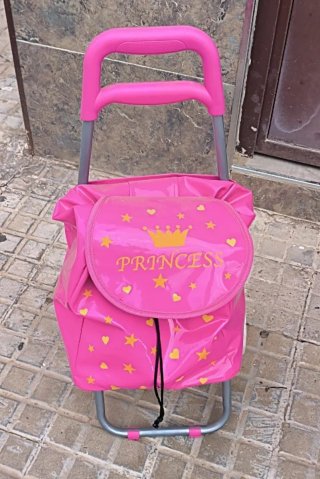 Carrito de la compra infantil rosa Princesa