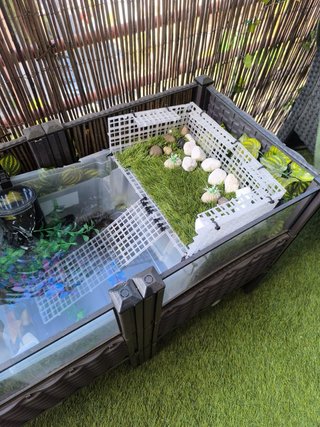 Terrario Tortugas Acuáticas