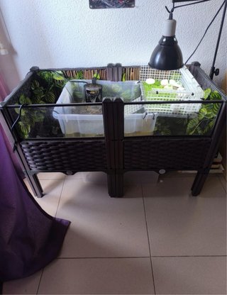 Terrario Tortugas Acuáticas