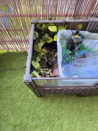 Terrario Tortugas Acuáticas