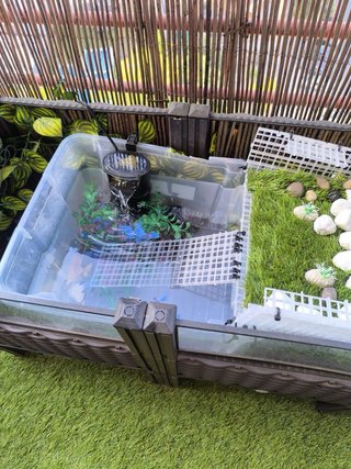 Terrario Tortugas Acuáticas
