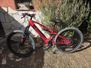 Bicicleta Eléctrica