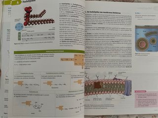 Libro Bioloxia 2 BAC  ISBN 9788498546224