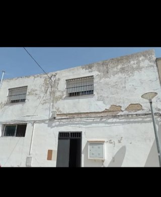 Pintor Profesional