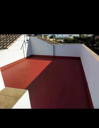 Pintor Profesional