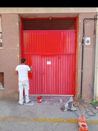 Pintor Profesional