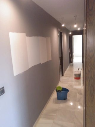 Servicio de pintura profesional