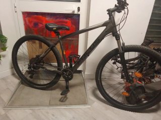 Bicicleta de montaña Focus