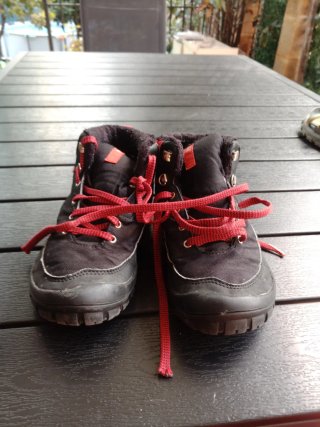 Lote Zapatos Talla 35-36
