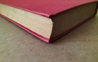 El FBI desconocido. Libro
