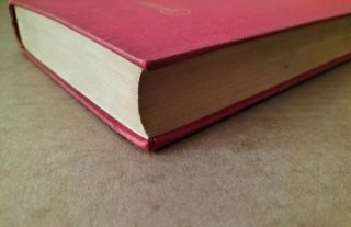 El FBI desconocido. Libro