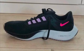 Zapatillas Nike Air Pegasus