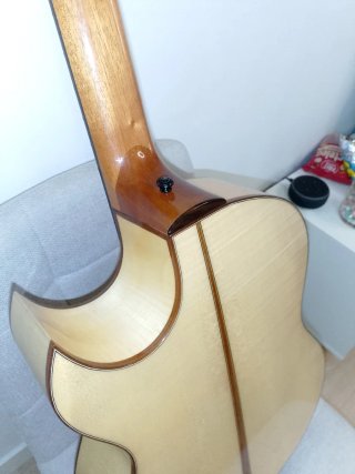 Guitarra Andina Cataway GSC-04