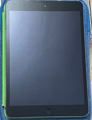 iPad mini 2 (16 GB) - Impecable, sin arañazos
