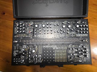 Makenoise Shared System Black & Gold