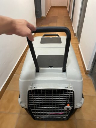 Transportín perro grande