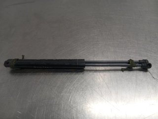 Amortiguadores capo BMW SERIE 3 BERLINA (E90)