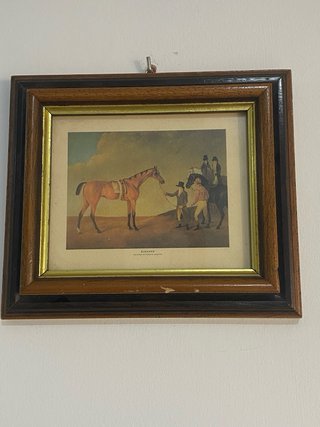 9 Láminas Ecuestres Vintage Marco Madera