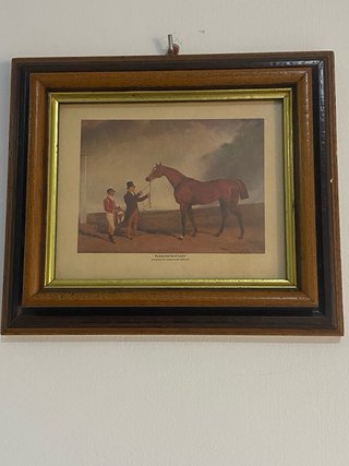 9 Láminas Ecuestres Vintage Marco Madera