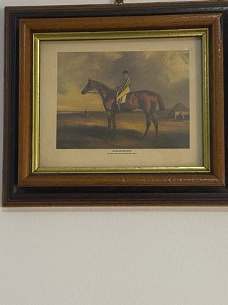 9 Láminas Ecuestres Vintage Marco Madera