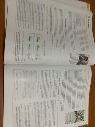 1 Bachillerato, Economía Revuela