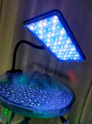 16×9 Lámpara LED para acuario,4 colores A ESTRENAR