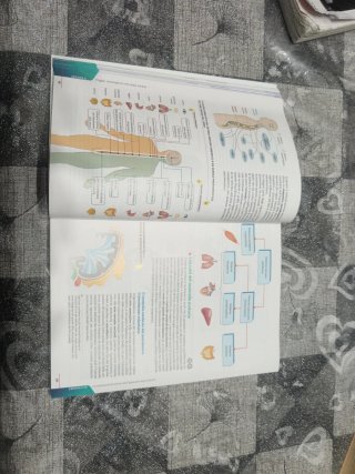 Tempo di sport edizione arancione