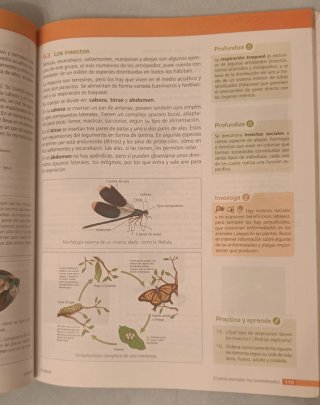 Biología y Geología 1.º ESO LOMLOE