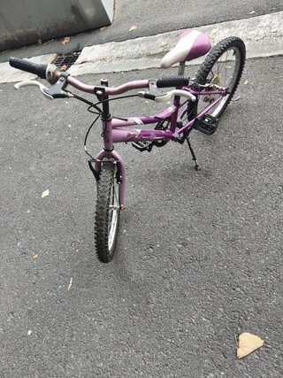 Bicicleta Morada Infantil