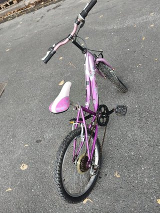 Bicicleta Morada Infantil