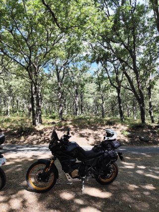 Voge  Ds 800 Rally Negra (Marzo 2026) 4500km