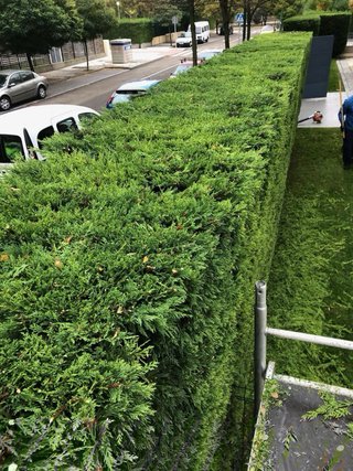Jardinería profesional