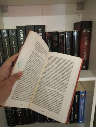 Libro El enviado del Rey de Manuel Lozano Leyva