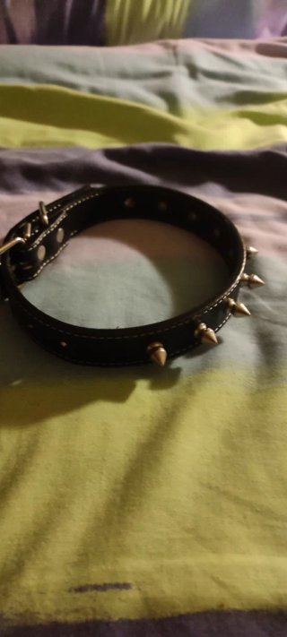 Collar con pinchos de cuero