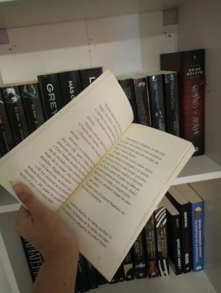 Libro Hay que salvar a Said - Brigitte Smadja