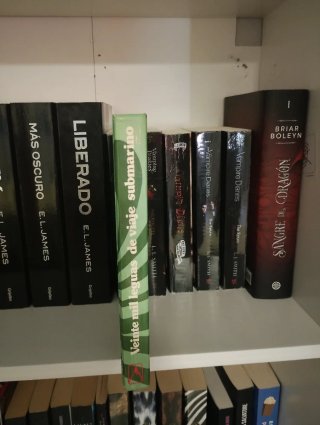 Libro veinte mil lenguas de viaje submarino