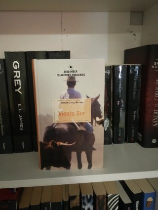 Libro viento sur