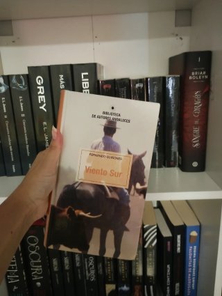 Libro viento sur
