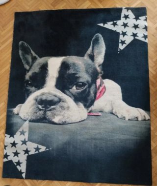 Alfombra perro bulldog francés