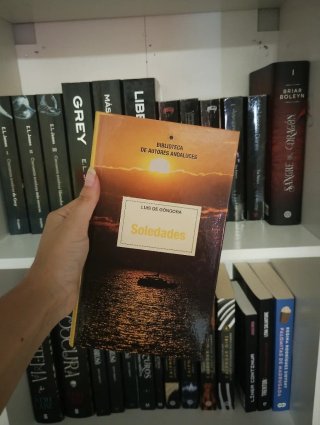 Libro soledades